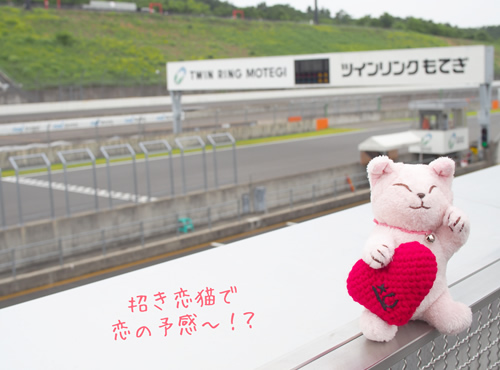 益田にも恋が…？！招き恋猫と噂のカレに出会うの巻