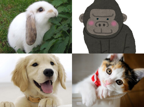 ○○男子を夢中にさせませんか？