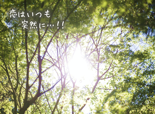 ハーバルロール