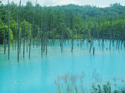 大感激…！！北海道旅行で嬉しい出会いが…