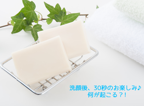 やみつきになる手触り♪洗顔後30秒のお楽しみタイム？
