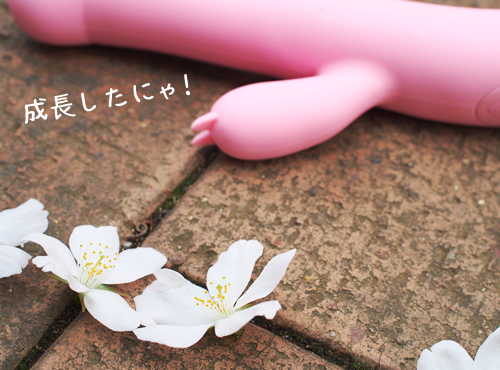 KOIKOI（こいこい）の飼い主の皆さま！成長しました！