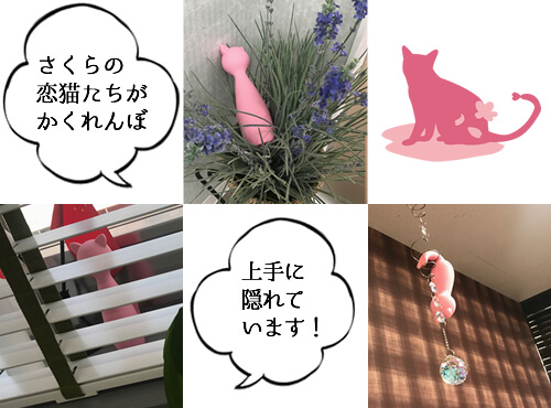 猫を探せ！さくらの恋猫たちがかくれんぼ？！