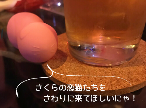 さくらの恋猫とお酒