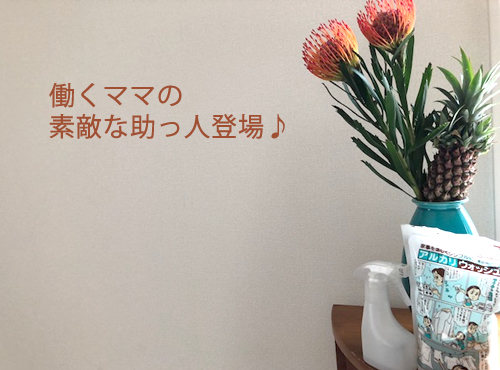 素敵な助っ人登場、その名は…