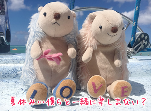ぜひ遊びにきてほしいです♪