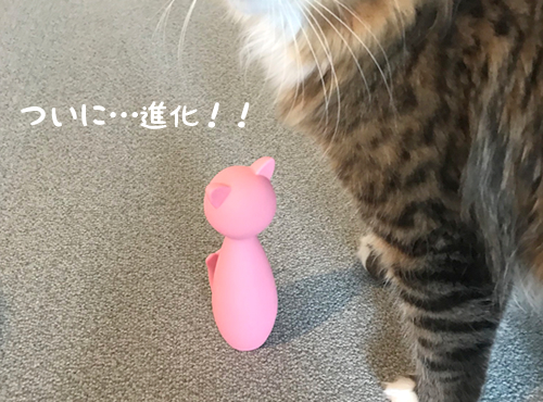 ついに…進化！！大成長を遂げたその姿とは？