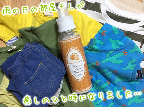 ブログ