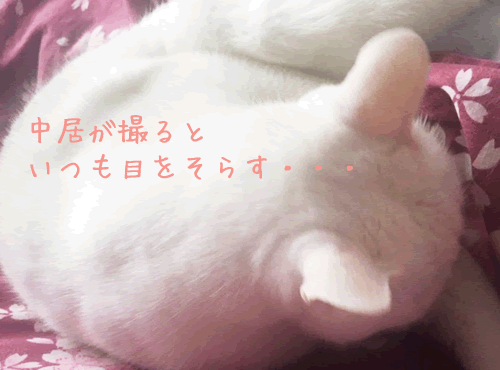 母、驚き！なんで教えてくれなかったの？