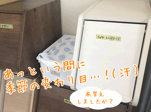 あっという間に季節の変わり目！