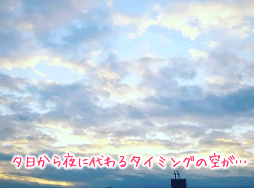 「…！すてき…！すてきですネ。そのストーリー。」