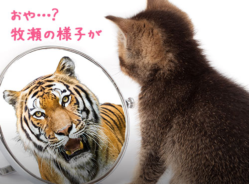 アーッ！私の〇〇すっごい可愛くない！