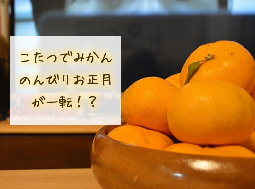 あなたはどっち？みかんネット V.S ワンプッシュ