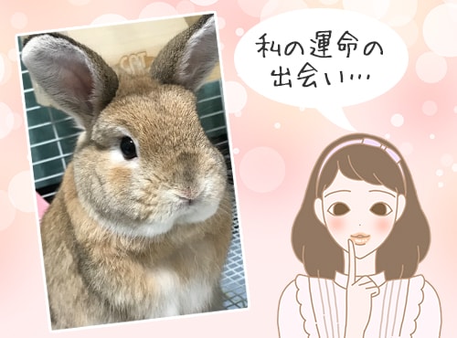 運命体験、忘れられません…！