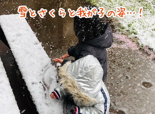 欲しい、欲しいなぁ…