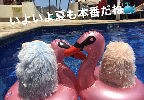 今年もこの季節がやってきました～！！
