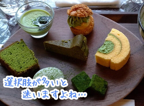 どれを選べばいいの…？