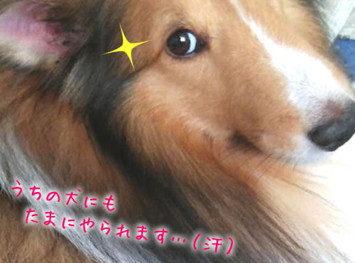 「なんでそこなの…？」となった瞬間でした…