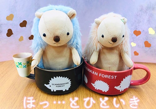 触ってみてからが勝負の始まり。