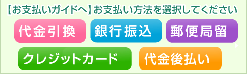 お支払いガイドへ