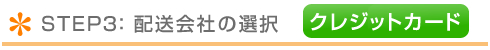 クレジット番号の入力