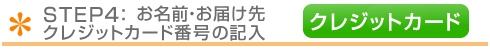 クレジット番号の入力