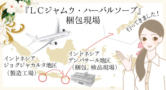 梱包現場