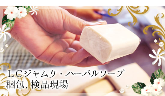 梱包、検品現場
