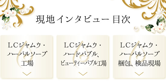現地インタビュー目次