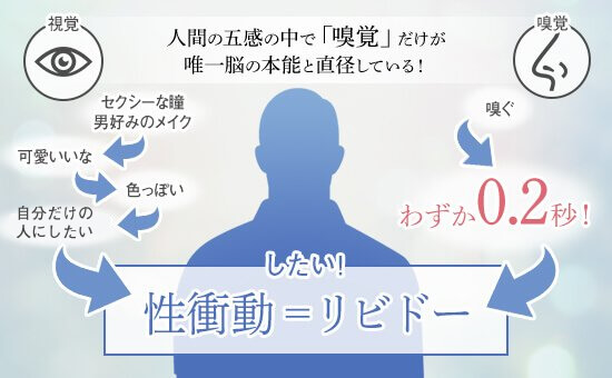リビドーロゼ 図解