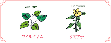 リュイールを使って気持ち良さを感じた、興奮した、悩みが解決した人は、全体の9割!
