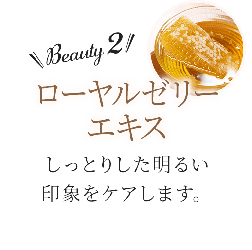 Beauty2 [[[GLX Ƃ肵邢ۂPA܂B