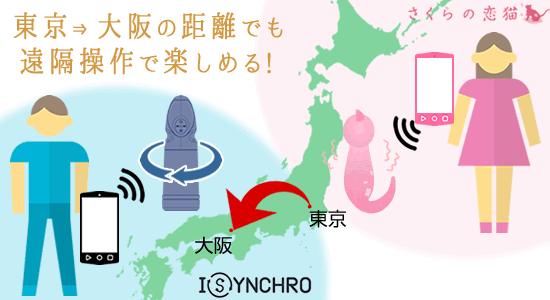 さくらの恋猫をスマフォアプリで遠隔操作しているカップル