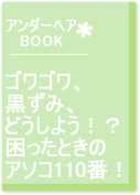 �A���_�[�w�ABOOK