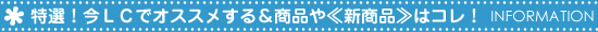 ̑JX^}[X^btߏi͂IbtCf[iCgtB[o[