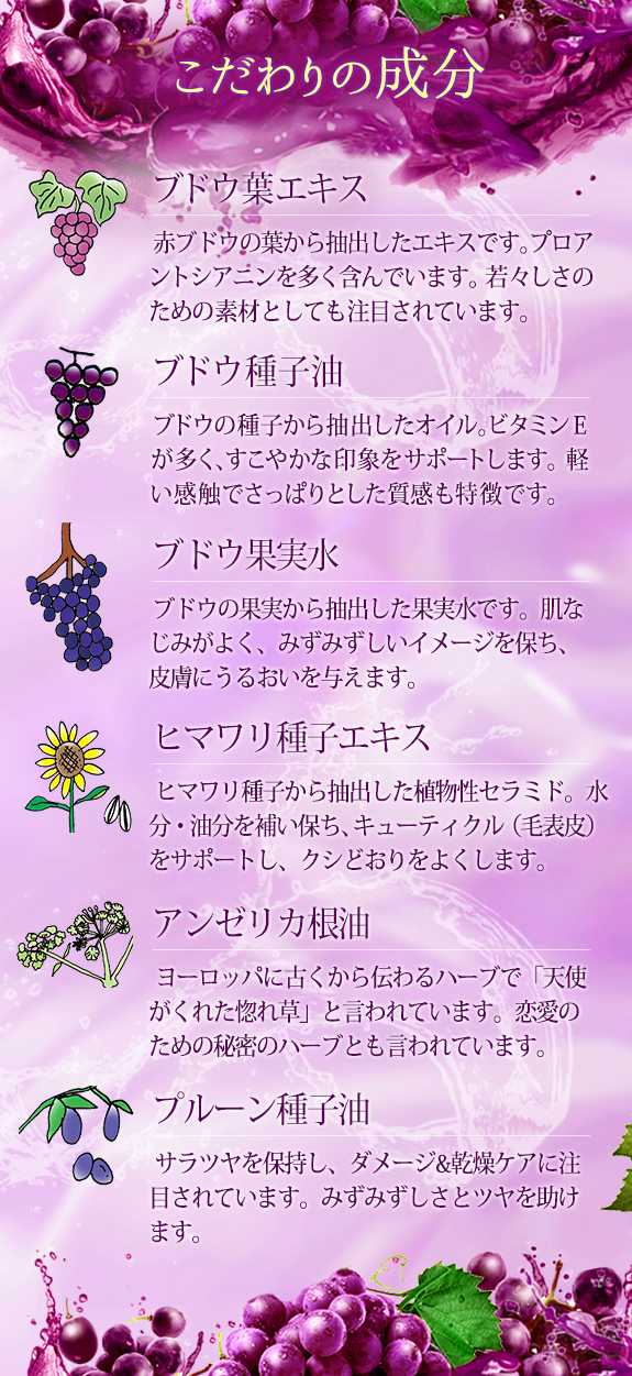 成分