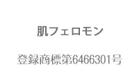 登録商標第6466301号