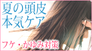 kbIIԂ炫LOI