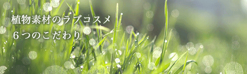 こだわり