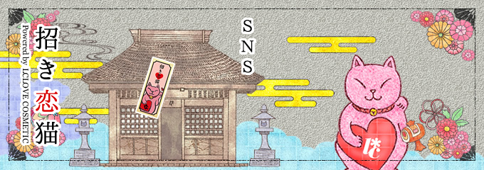 sns
