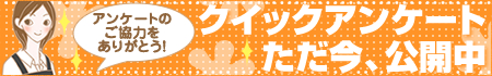 tCf[bJ̃NCbNAP[g
