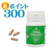 ウルトラエレクションズ★300P付★