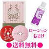 【送料無料】ＬＯＶＥ＊４８（完全版）＆ローションおまけつき