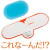 ＳＰＯＰＡＤ ＦＩＴ２