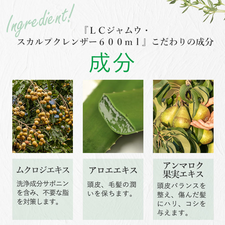 日本専門店 桜0401様用 LCスカルプクレンザー 頭皮用シャンプー 600ml