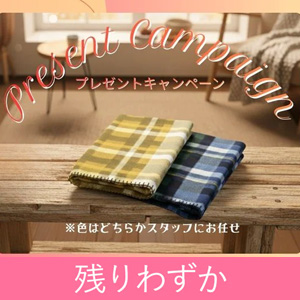 ���������z10,000�~�ȏ�œ����v���[���g�i�u�����P�b�g�j