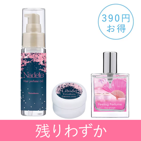 �ySET�z�t�B�[�����O�p�t���[���@�����������R�X���Q�_