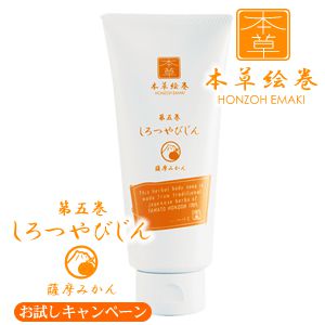 しろつやびじん薩摩みかん(お試し価格)