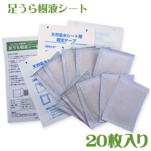 足うら樹液シート(20枚入り)