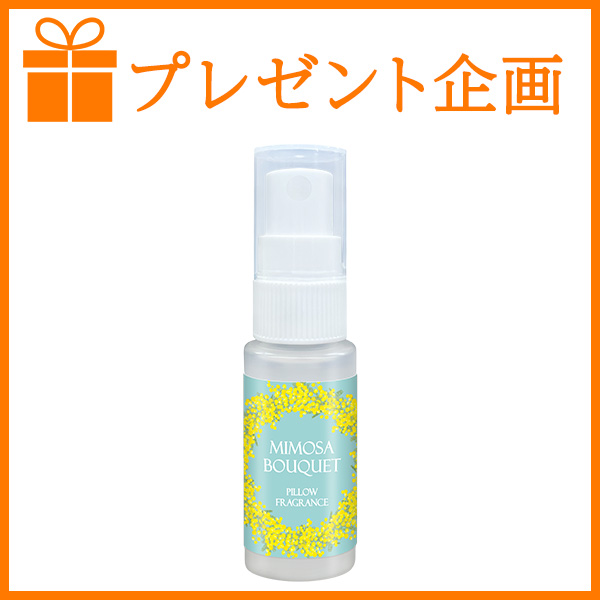 �y�v���[���g���z���������z15,000�~�ȏ�œ����v���[���g�i�s���[�t���O�����X�j